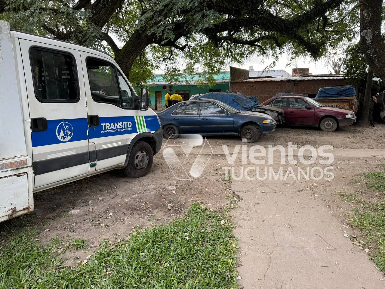 photo_2025-05-20_14-31-24