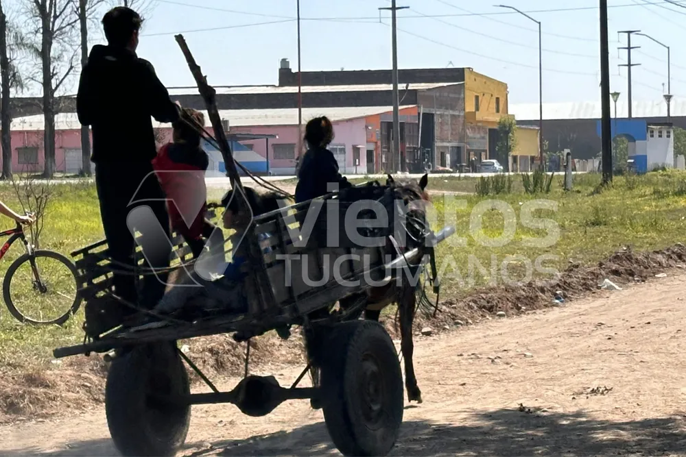 pobreza indigencia indec