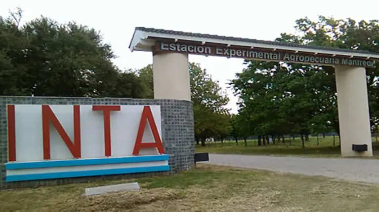 inta 2