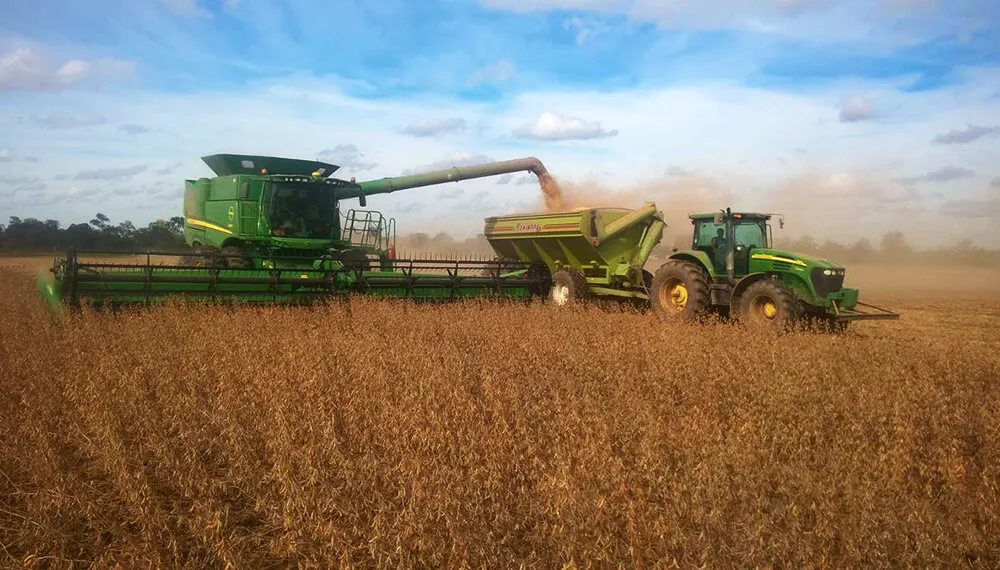 campo arg
