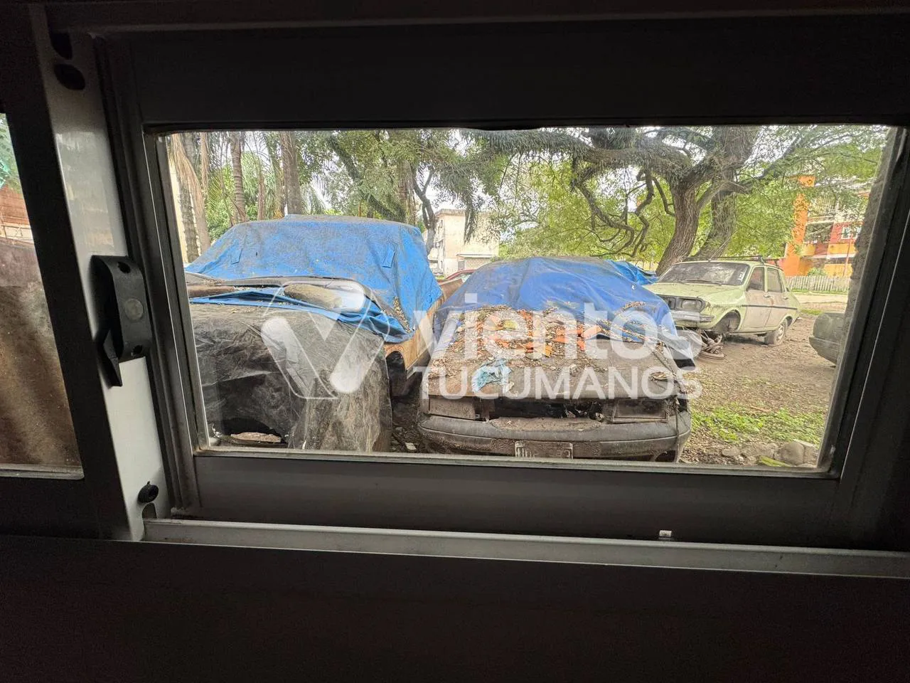 photo_2025-05-20_14-31-27