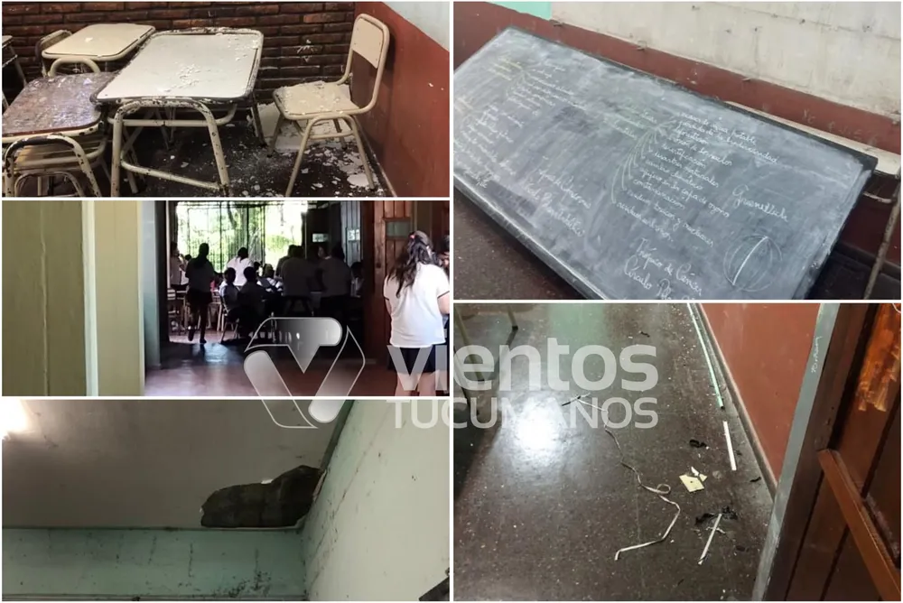 3F754C6B-FB19-4274-9EEA-C96961D5DA47