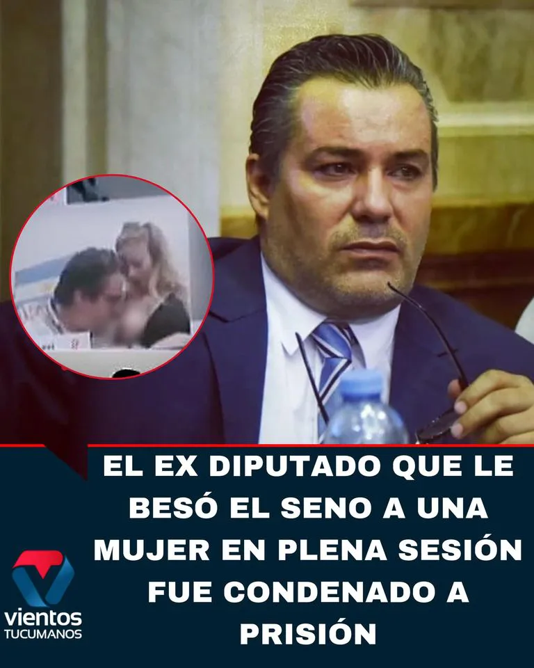 diputeta