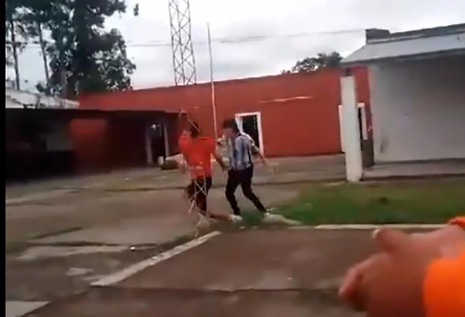 pelea