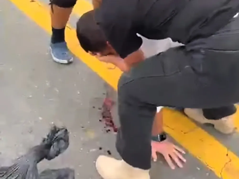 49DA3505-CD5B-4ED1-8DAD-CDCD5413E0C8