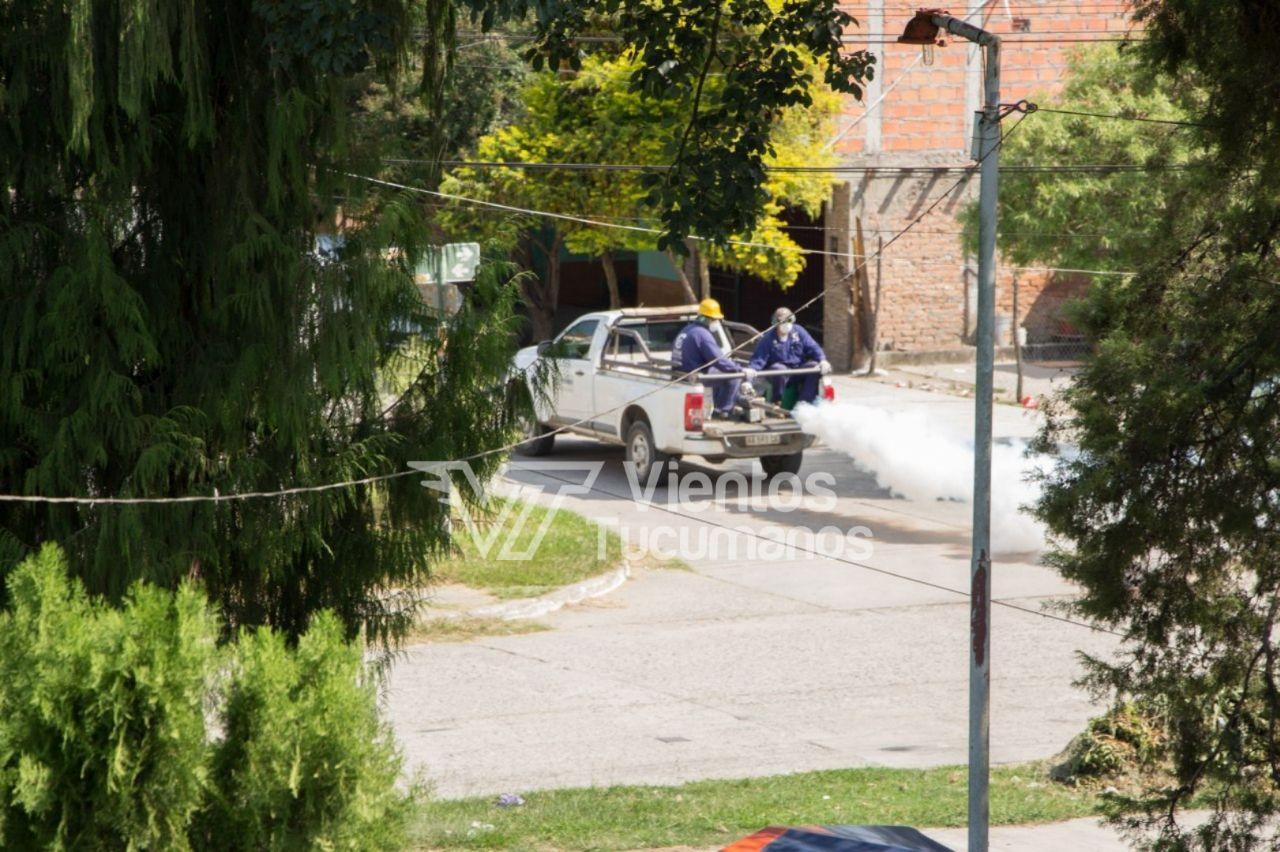 fumigacionn