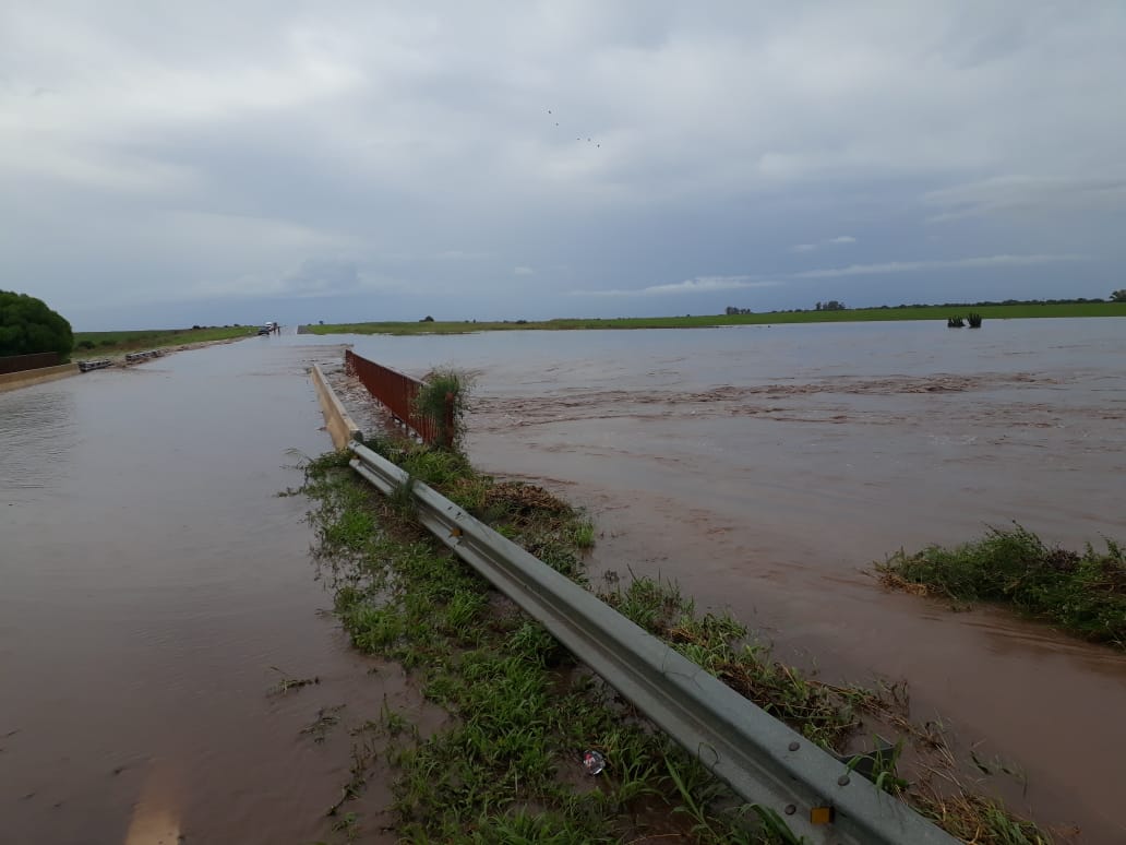 ruta 334