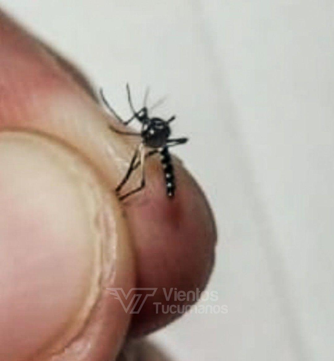 photo_2020-04-20_22-59-02