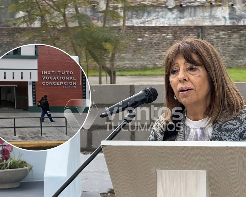 susana montaldo ivc
