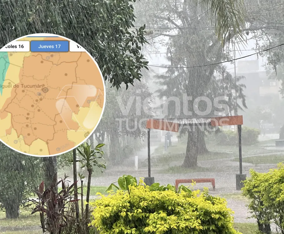 Tormenta alerta