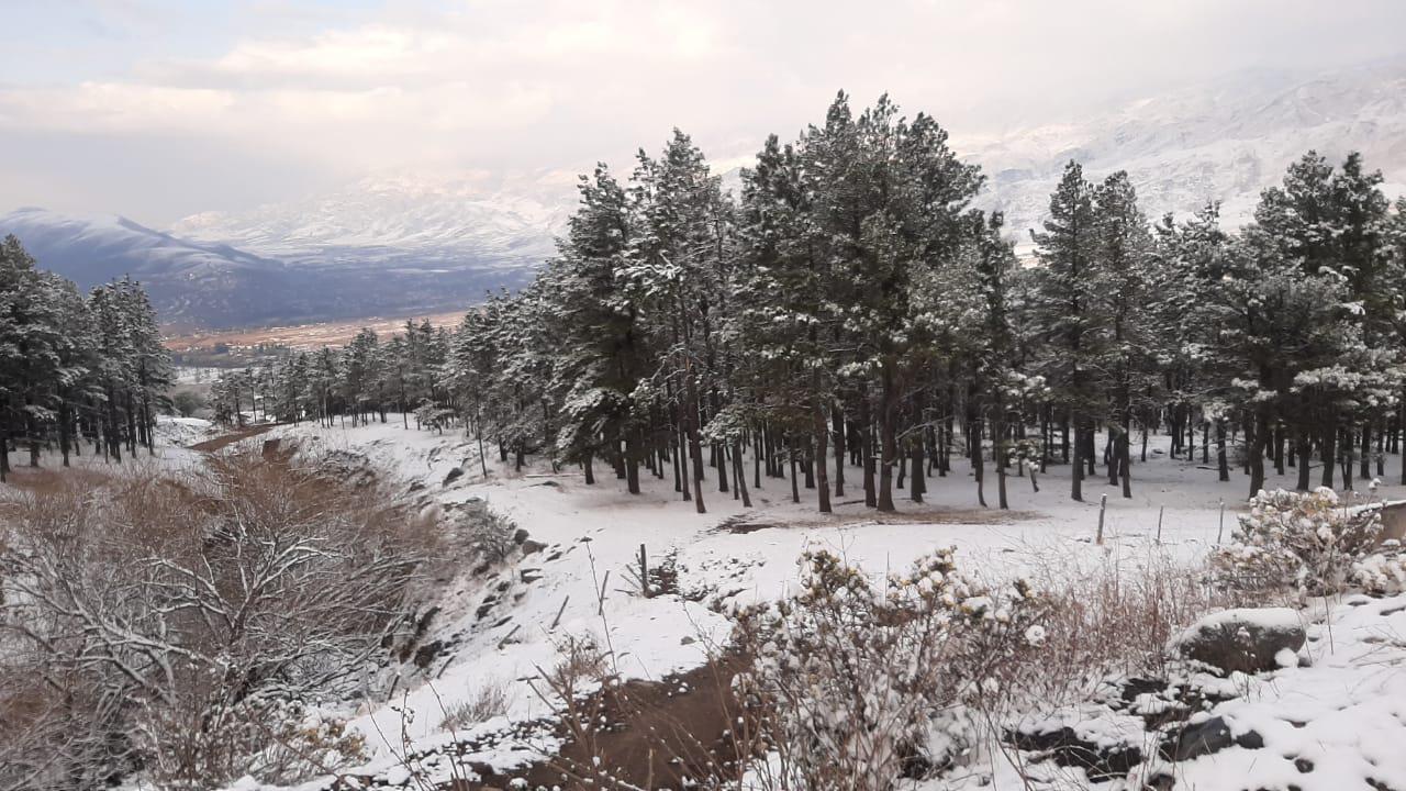 IMG-20220914-WA0030