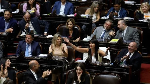 limpia 1