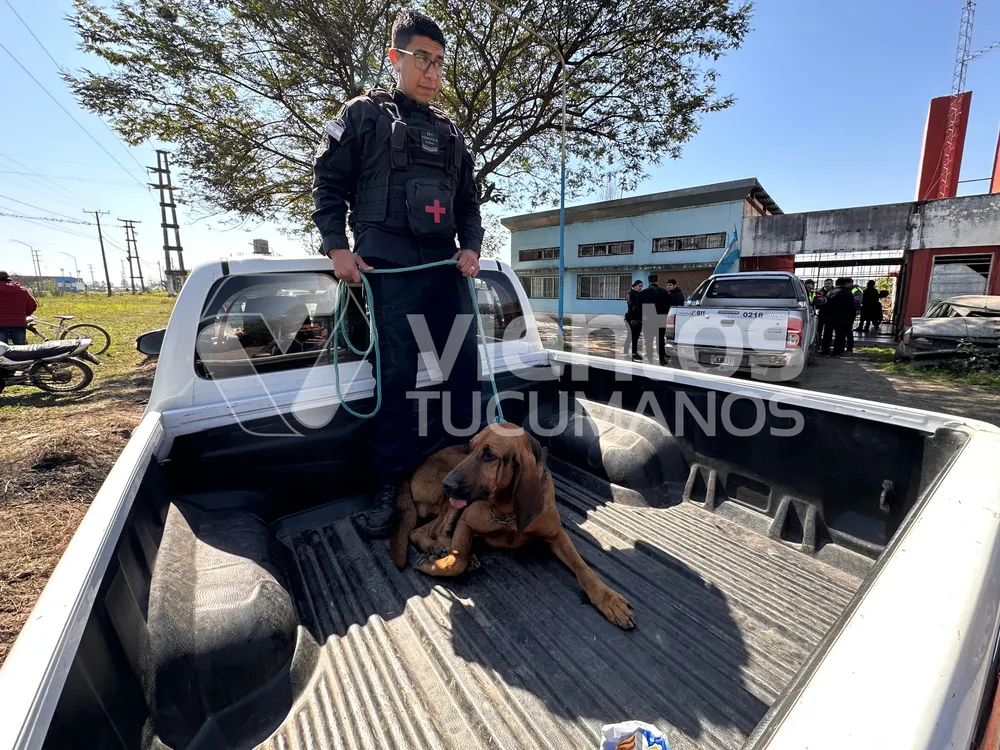 87D43D71-C360-4D7E-ABB7-575407A1269B