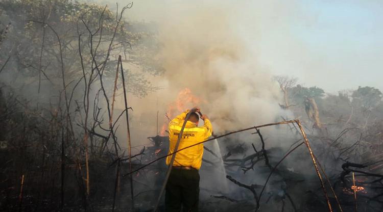 quema de cañas bomberos brigada