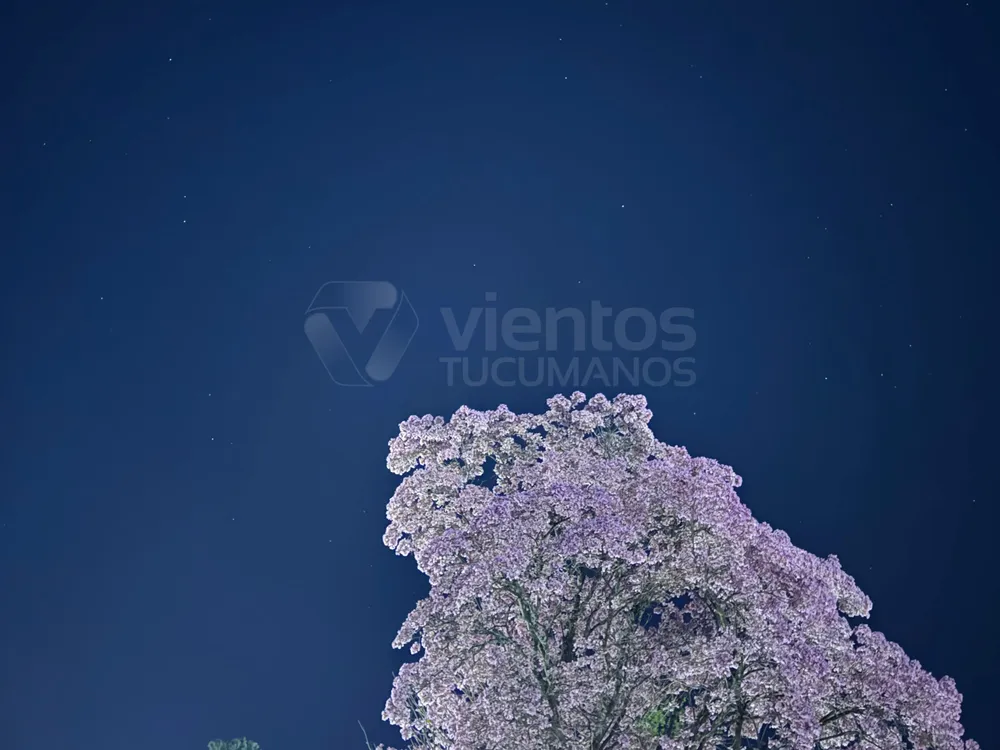 noche tiempo calor estrella clima