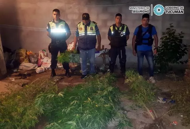 E111A8E7-0E66-4286-9D64-B4F97C361FCE