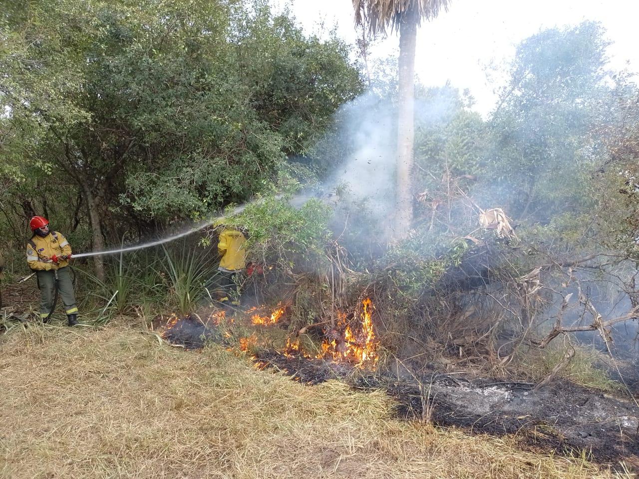 fuego corrientes incendio bomberos