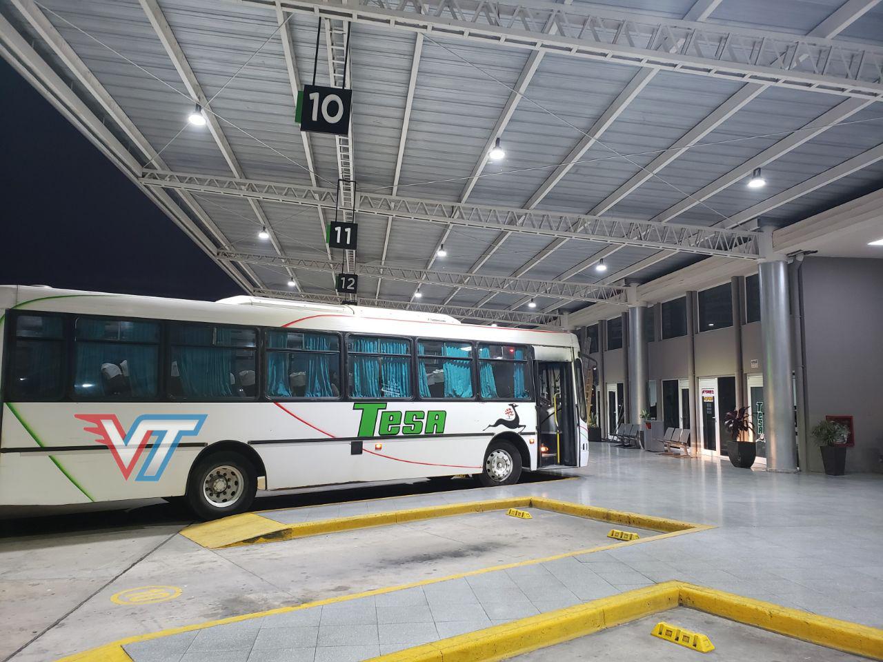 tesa colectivo terminal