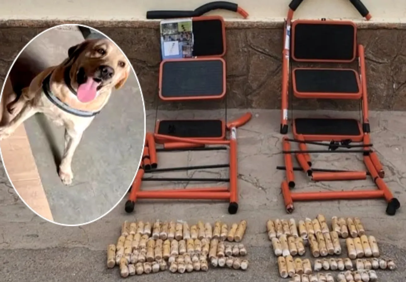 D27753F2-5717-4EBF-94A3-D242D22A06DE