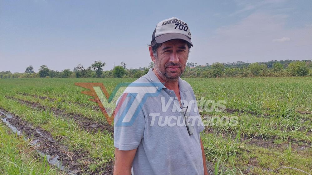 juan manuel moreno