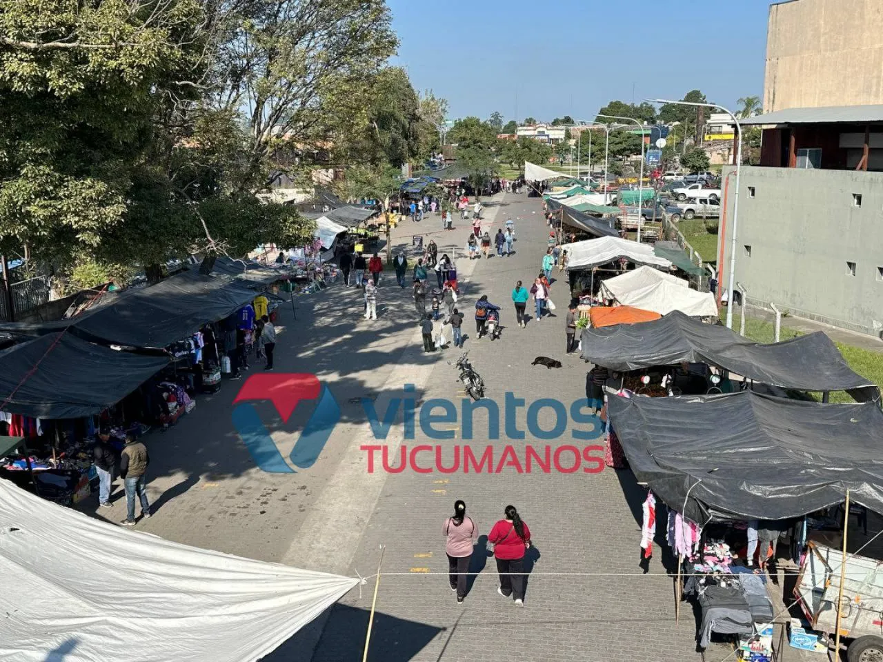 feria franca municipal Concepción