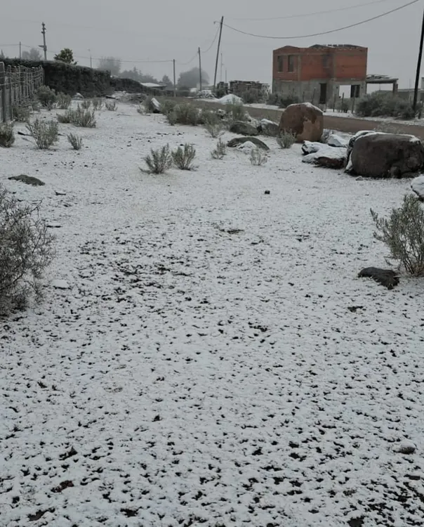 nieve 2