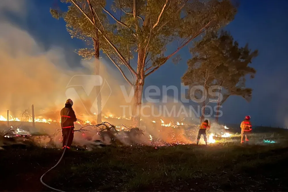 413C6163-23D8-444A-B1CF-0D2B81BEBF46