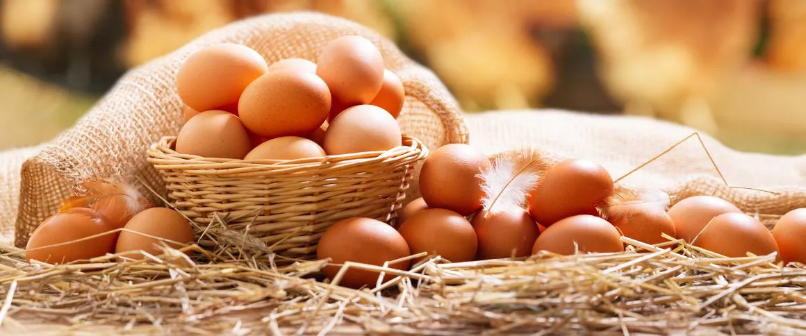 Huevos 4
