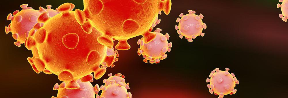 coronavirus 4