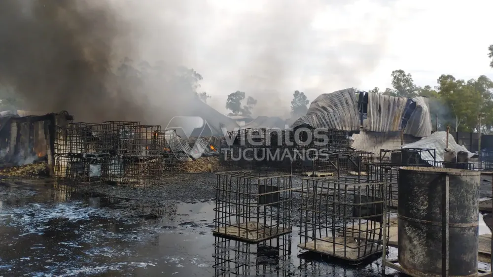 EB50F761-0EB5-4943-908A-CCF98431073F