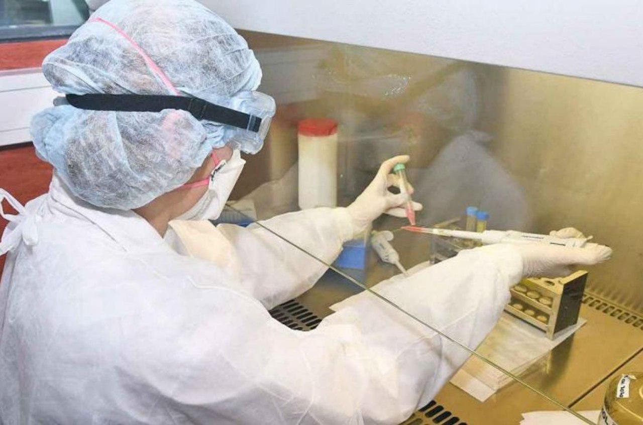 Coronavirus-argentina1