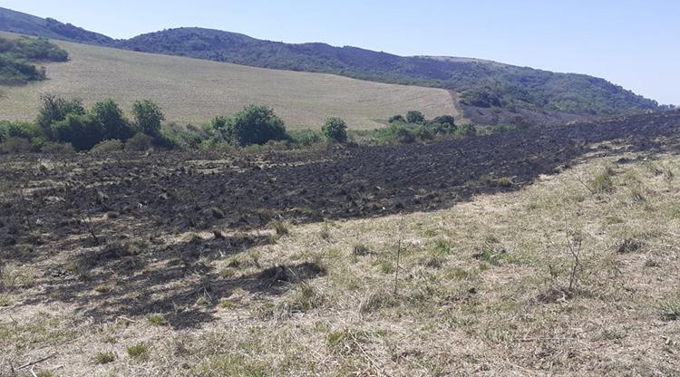 incendio2