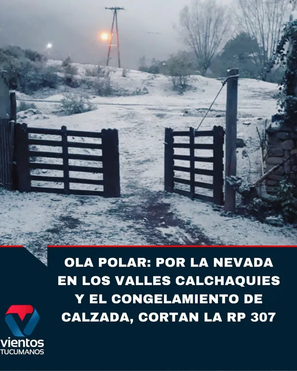 nieve