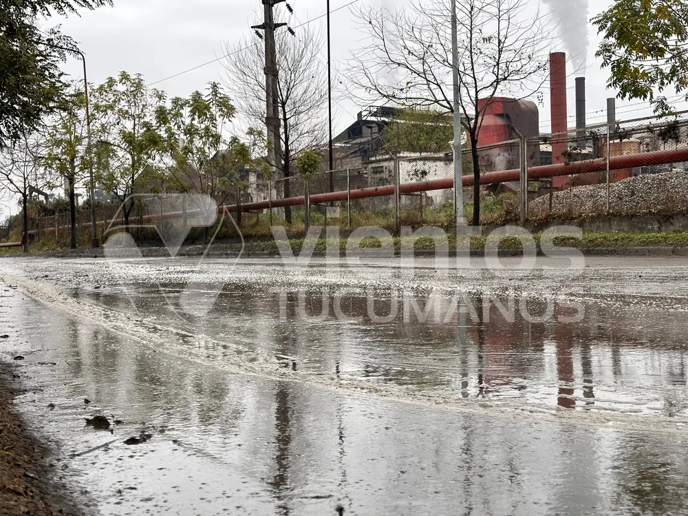 49AD3F60-91A2-49CF-9916-D3218F2595E6