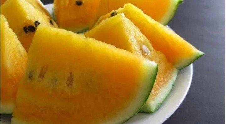 sandia