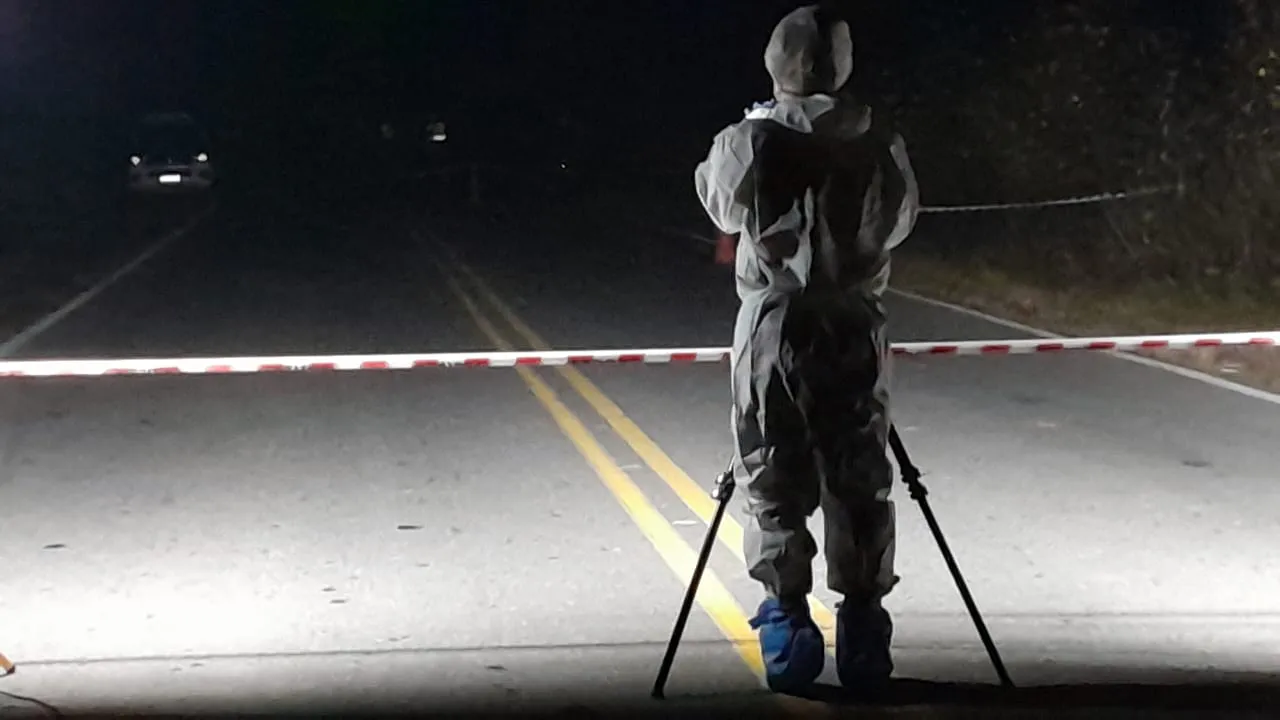 d89e28d5-f68a-49f1-8c75-604639a7ef79