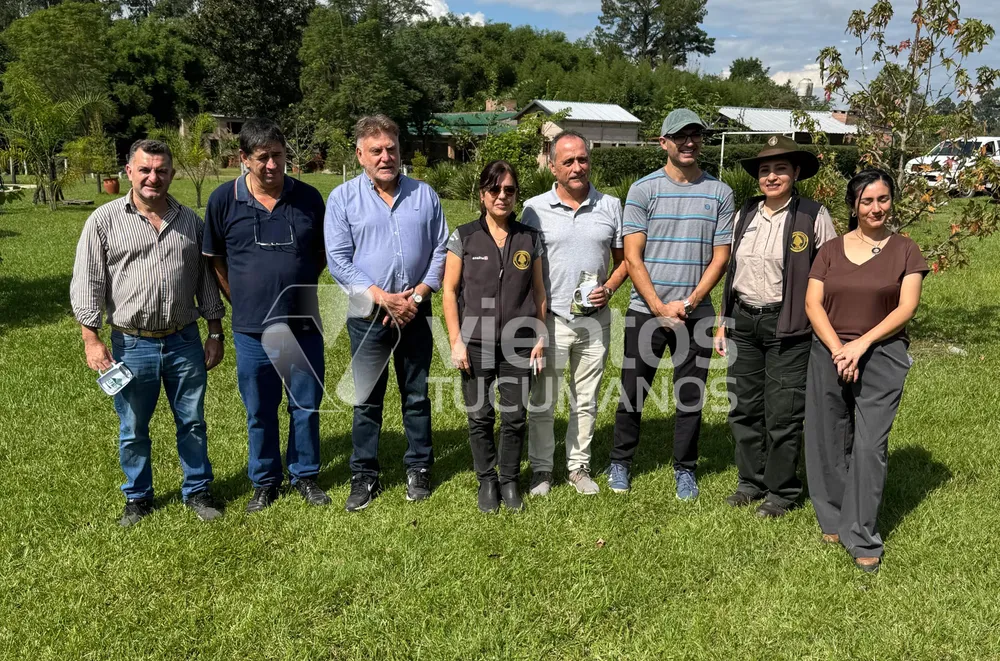 juan manuel moreno amaya albarracín alpachiri