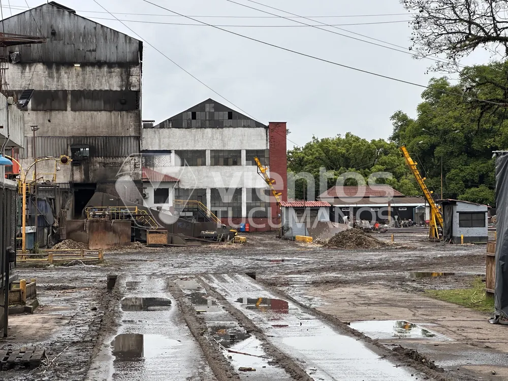 Ingenio La Corona zafra