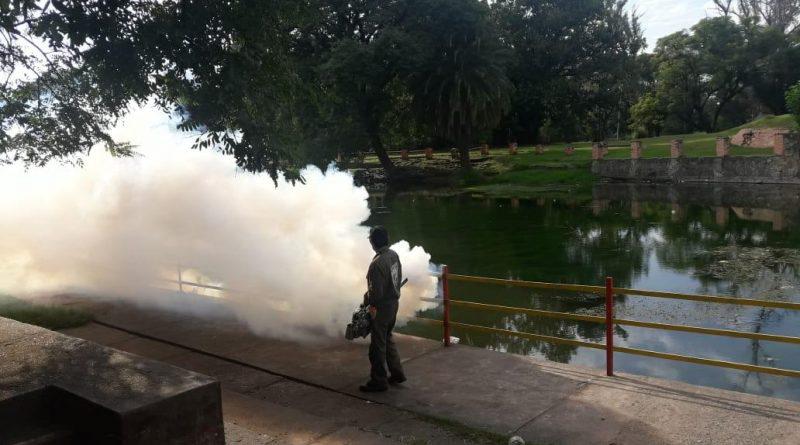 fumigando