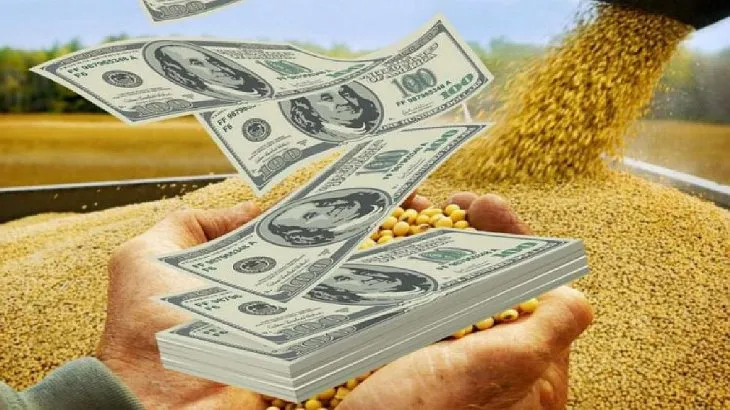 dolar