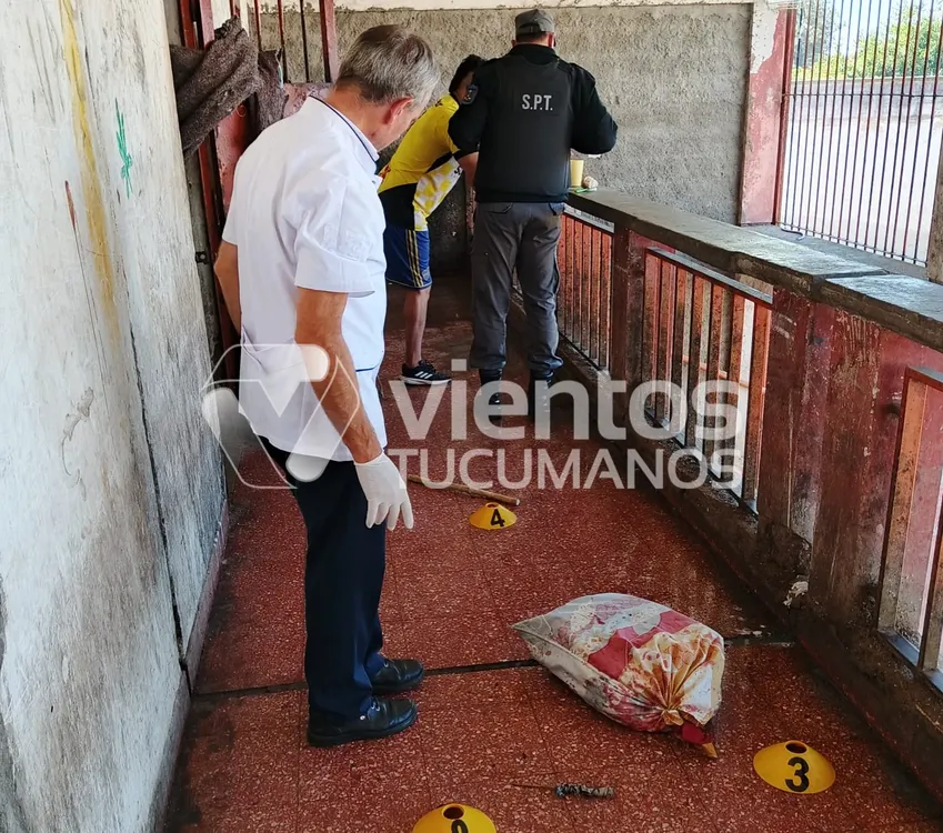 A79C0855-2606-4F24-BF43-05E3BD35AA22